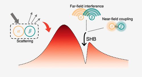 Probing Spectral-Hole-Burning in Non-Hermitian Scatterings: Differentiating Far-Field Interference and Near-Field Coupling