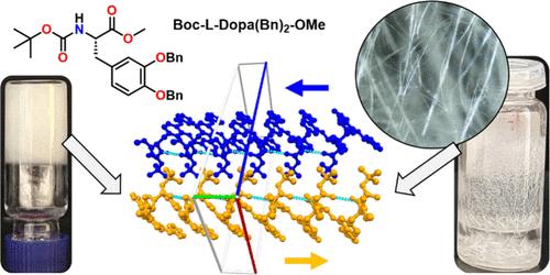 Exploring the Self-Assembly of a Fully Protected l-Dopa from Different Organic Solvents and the Relationship Between Gel and Crystal Structures