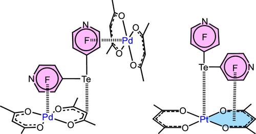 Formal Metal-Dependent (M = Pt, Pd) Switching between Arene π-Hole and σ-(Te)-Hole in the Arenetellurium(II) Noncovalent Binding