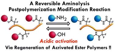 Reversible aminolysis: a new concept for postpolymerization modification†