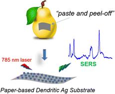 Flexible paper-based Ag dendritic SERS chips for rapid in situ detection of thiram residues on pear skin†