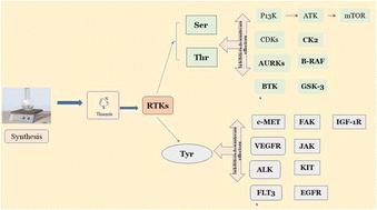 Recent studies on protein kinase signaling inhibitors based on thiazoles: review to date