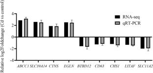 Study on the Mechanism and Potential of Corbicula fluminea (Asian Clam) in Removing Copper and Cadmium from Aquaculture Ponds