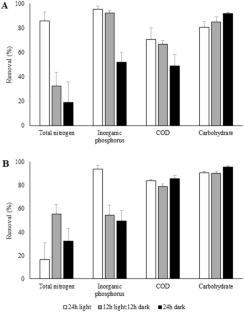 Removal of nutrients from synthetic wastewater by different Brazilian chlorophyte strains in batch bioreactors under various light regimes