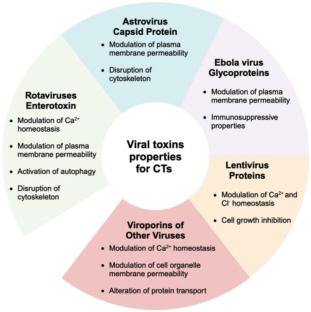 Can viral proteins be retooled for chimeric toxin development?