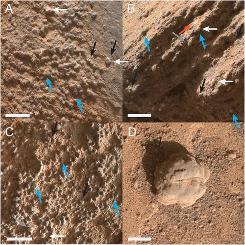 Grain Size Measurements of the Eolian Stimson Formation, Gale Crater, Mars and Implications for Sand Provenance and Paleoatmospheric Conditions