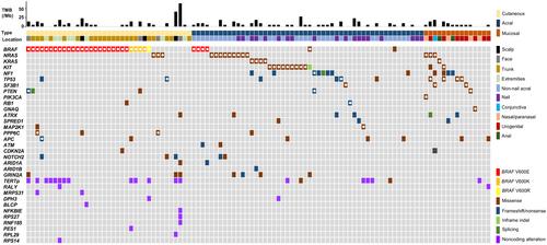 Genetic Characteristics of Cutaneous, Acral, and Mucosal Melanoma in Japan