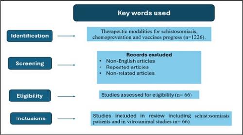 Schistosomiasis Chemotherapy, Chemoprevention, and Vaccines: History, Progress, and Priorities