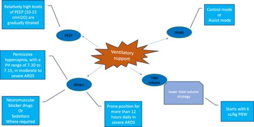 An Overview of Pediatric Pulmonary Complications During COVID-19 Pandemic: A Lesson for Future