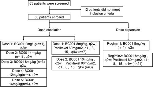 Phase I study of BC001, a novel fully human immunoglobulin G1 monoclonal antibody targeting the vascular endothelial growth factor receptor-2, in advanced solid tumors