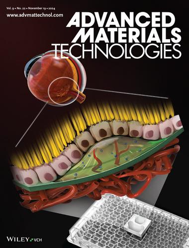 High-Throughput Microfluidic 3D Outer Blood-Retinal Barrier Model in a 96-Well Format: Analysis of Cellular Interactions and Barrier Function in Retinal Health and Disease (Adv. Mater. Technol. 22/2024)