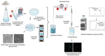 Applicability of β-lactamase entrapped agarose discs for removal of doripenem antibiotic: reusability and scale-up studies†