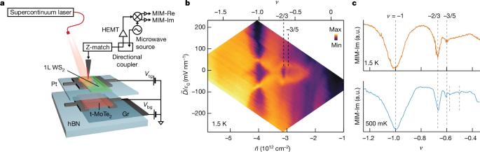 Local probe of bulk and edge states in a fractional Chern insulator