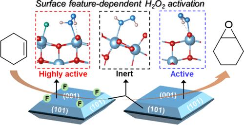 Manipulating the H2O2 Reactivity on Pristine Anatase TiO2 with Various Surface Features and Implications in Oxidation Reactions
