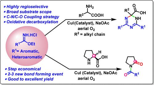 Cu(I)-Catalyzed C(sp3)–H Functionalization of Amino Acids with Benzimidate and Reactive Oxygen Species (ROS) To Synthesize Triazines and 2-Pyrrolidinones