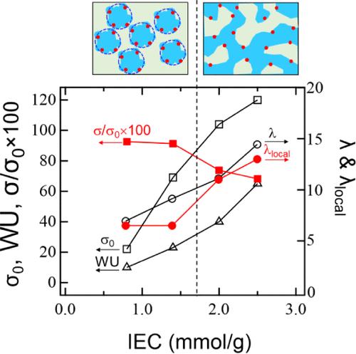 Structural Factors for the Chemical Stability of Graft-Type Polymer Electrolyte Membranes Evaluated from the Local Hydration Number
