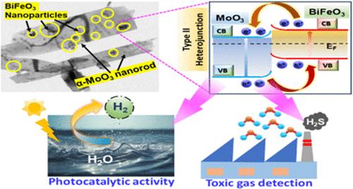 BiFeO3 Nanoparticles Embedded on α-MoO3 Nanorods: A Heterostructure for Oxygen Vacancy-Driven Photocatalytic Activity and Gas Sensing