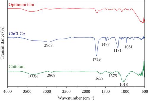 Innovative Chitosan Edible Coating Incorporated With a Natural Deep Eutectic Solvent and Aloe vera for Extending the Blackberry Shelf Life