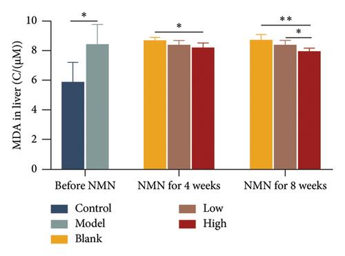 Applying an Untargeted Metabolomic Strategy to Explore the Interventional Effect and Mechanism of NMN on Aging Model Mice