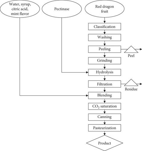 Pectinase-Driven Optimization of Pectin Hydrolysis for Enhanced Clarity, Anthocyanin Retention, and Consumer Appeal in Red Dragon Fruit Mint Flavored Beverage