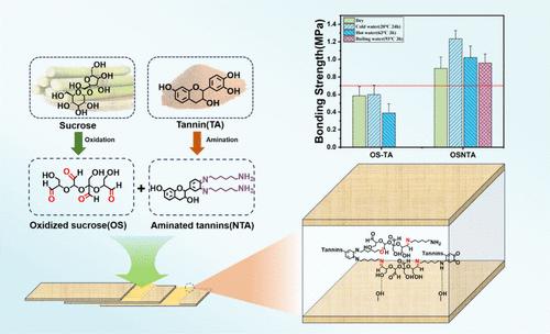 Thermosetting Sucrose-Based Wood Adhesive with Enhanced Water Resistance and Bonding Performance by Constructing a Schiff Base Cross-Linking Network