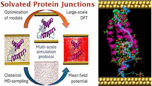 Structural, Solvent, and Temperature Effects on Protein Junction Conductance