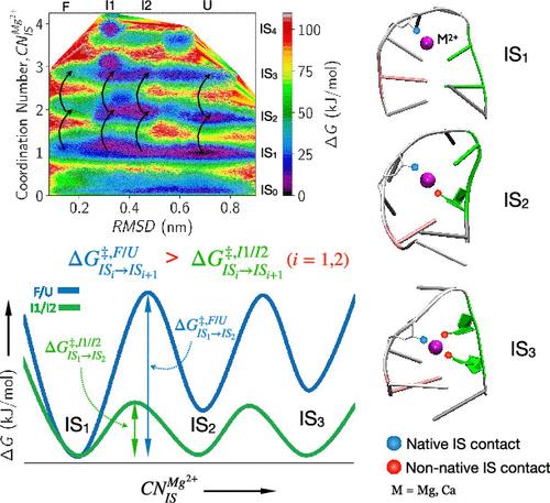 Metal Ion Sensing by Tetraloop-like RNA Fragment: Role of Compact Intermediates with Non-Native Metal Ion–RNA Inner-Shell Contacts
