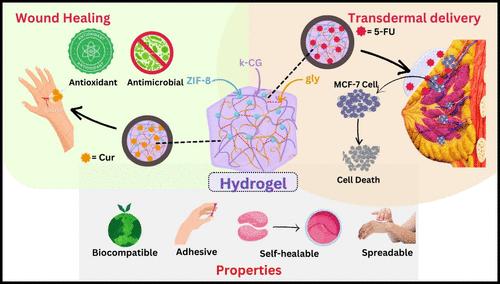 Metal–Organic Framework and Biopolymer-Based Composite Hydrogel for Enhanced Encapsulation of Anticancer Drugs: A New Age Transdermal Drug Delivery Vehicle