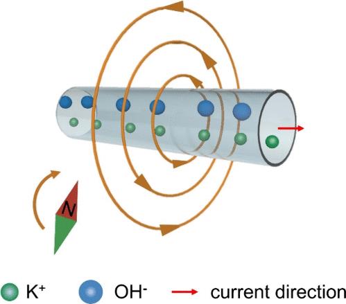 Magnetic Fields Generated by Directed Ionic Flow