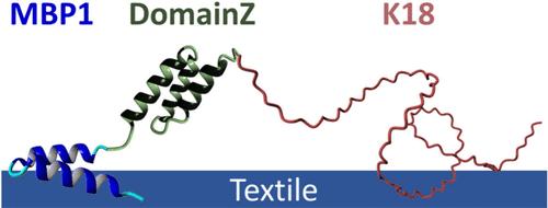 Recombinant Supercharged Polypeptide Fusions for the Hydrophilic Finishing of PET Textiles