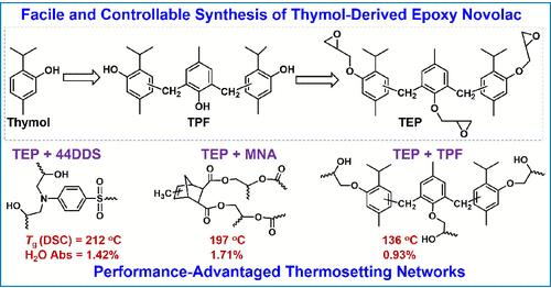 Thymol-Derived Trifunctional Epoxy Novolac from Controllable Synthesis to Performance-Advantaged Thermosets