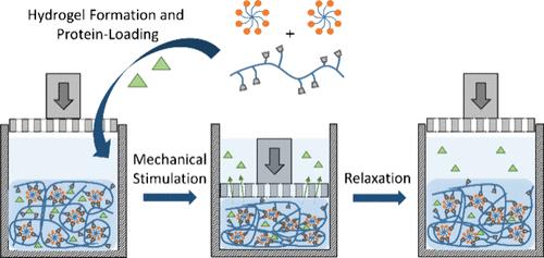 Mechano-Triggered Release of Biomolecules from Supramolecular Hyaluronic Acid Hydrogels