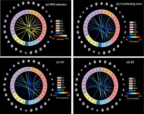 Imaging-genomic spatial-modality attentive fusion for studying neuropsychiatric disorders