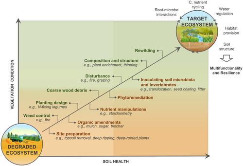 Soil Health to Enhance Ecological Restoration and Conservation