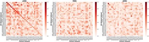 A Method for Multimodal IVA Fusion Within a MISA Unified Model Reveals Markers of Age, Sex, Cognition, and Schizophrenia in Large Neuroimaging Studies