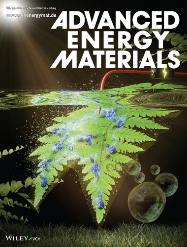 Effective Corrosion-Resistant Single-Atom Alloy Catalyst on HfO2-Passivated BiVO4 Photoanode for Durable (≈800 h) Solar Water Oxidation (Adv. Energy Mater. 44/2024)