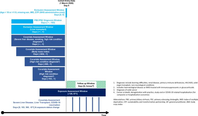 Ursodeoxycholic acid and severe COVID-19 outcomes in a cohort study using the OpenSAFELY platform