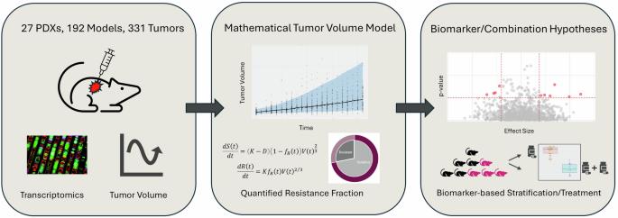 Understanding tumour growth variability in breast cancer xenograft models identifies PARP inhibition resistance biomarkers