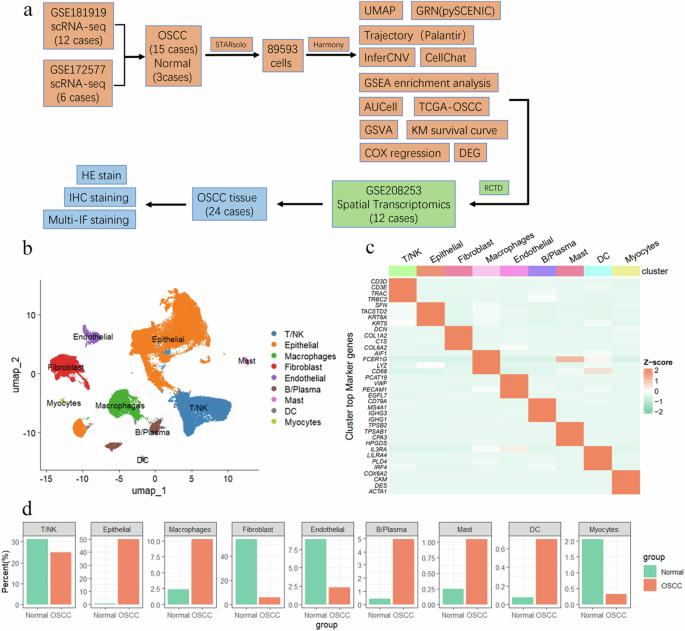 Multi-omics analysis deciphers intercellular communication regulating oxidative stress to promote oral squamous cell carcinoma progression