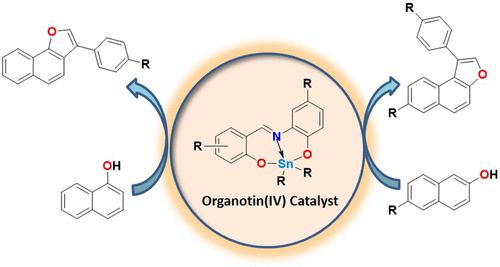 Organotin(IV) Compounds as Catalysts for the Solvent-Free Synthesis of Naphthofurans