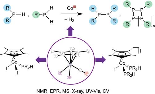 Co-Catalyzed P–H Activation and Related Cp*Co(III) Phosphine Complexes