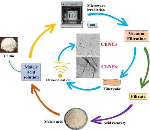 Facile Green Production of Chitin Nanomaterials from Shrimp Shell Chitin Using Recyclable Maleic Acid and Microwave Irradiation