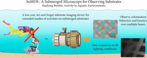 SuMOS, a submerged microscope for observing substrates: Studying benthic activity in aquatic environments