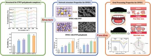 Double network emulsion gel prepared with different polyphenol modified egg white protein: A promising fat substitute for oral processing and fatty taste supplement