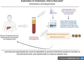 Biochemical exploration of cholestasis: interpretation, traps and interferences