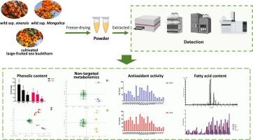 Quality differences in sea buckthorn (Hippophaë rhamnoides L.) berries of major varieties in China based on key components and antioxidant activity