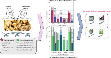 Fractional recovery of proteins and carbohydrates from secondary sludge from urban wastewater treatment plants