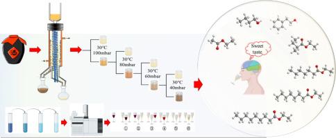 Separation and characterization of sweet compounds in Baijiu by molecular distillation combined with molecular sensory science