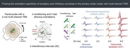 Probing the orientation specificity of excitatory and inhibitory circuitries in the primary motor cortex with multi-channel TMS