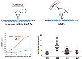 Generation and validation of antibody 42B1 recognizing galactose-deficient IgG for diagnosis of chronic inflammatory diseases